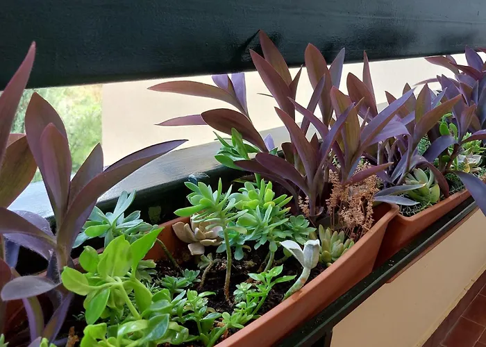 Hestia 3 Bdr Apartament *